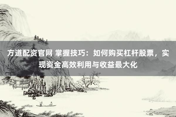 方道配资官网 掌握技巧：如何购买杠杆股票，实现资金高效利用与收益最大化