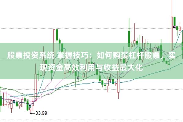 股票投资系统 掌握技巧：如何购买杠杆股票，实现资金高效利用与收益最大化