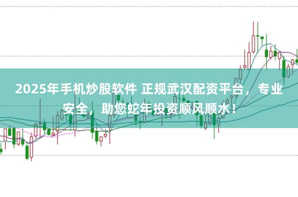 2025年手机炒股软件 正规武汉配资平台，专业安全，助您蛇年投资顺风顺水！