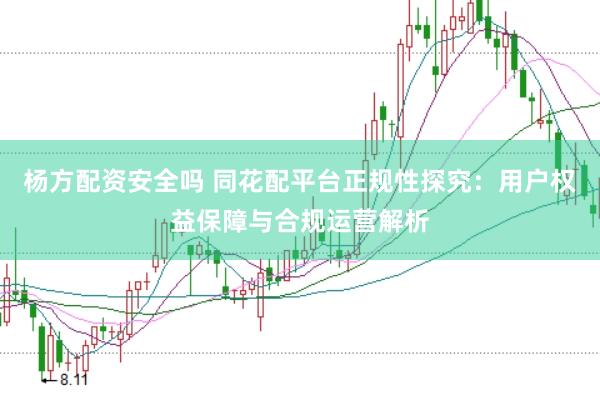 杨方配资安全吗 同花配平台正规性探究：用户权益保障与合规运营解析