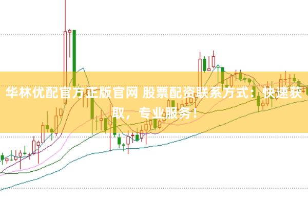 华林优配官方正版官网 股票配资联系方式：快速获取，专业服务！