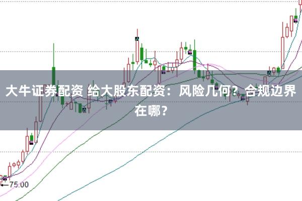 大牛证券配资 给大股东配资：风险几何？合规边界在哪？