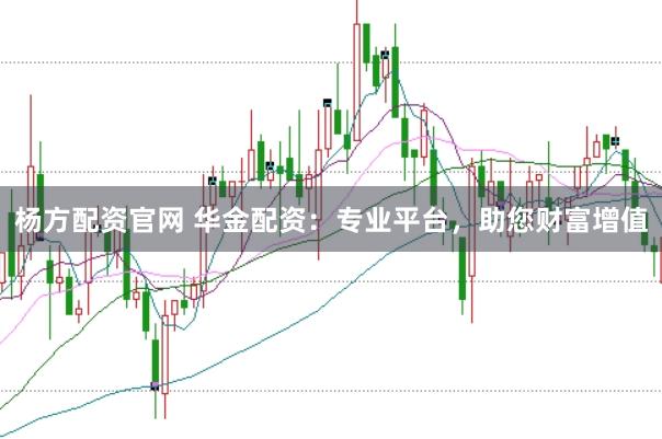 杨方配资官网 华金配资：专业平台，助您财富增值