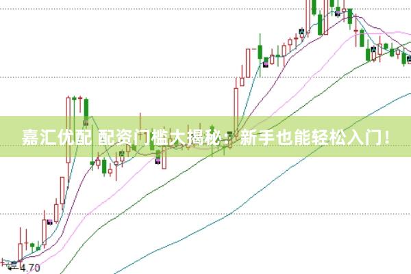 嘉汇优配 配资门槛大揭秘：新手也能轻松入门！