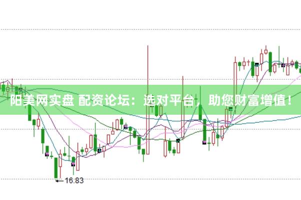 阳美网实盘 配资论坛：选对平台，助您财富增值！