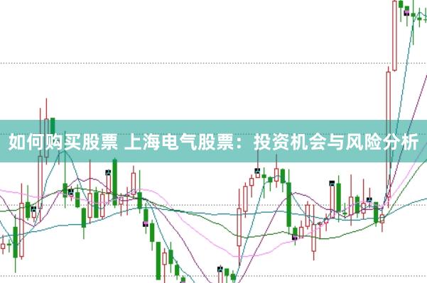 如何购买股票 上海电气股票：投资机会与风险分析