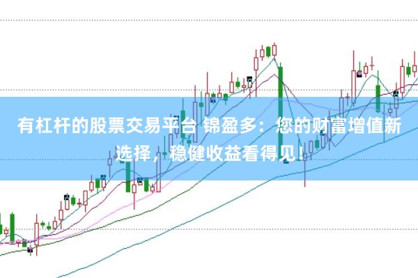 有杠杆的股票交易平台 锦盈多：您的财富增值新选择，稳健收益看得见！
