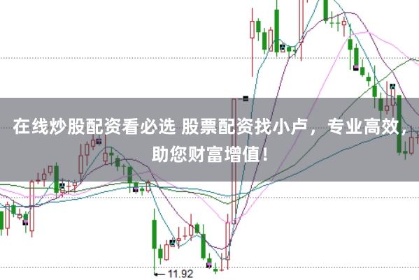在线炒股配资看必选 股票配资找小卢，专业高效，助您财富增值！