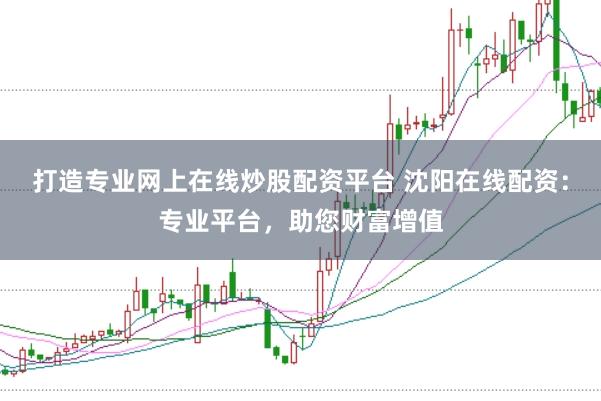 打造专业网上在线炒股配资平台 沈阳在线配资：专业平台，助您财富增值