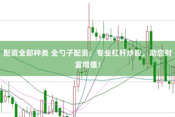 配资全部种类 全勺子配资：专业杠杆炒股，助您财富增值！