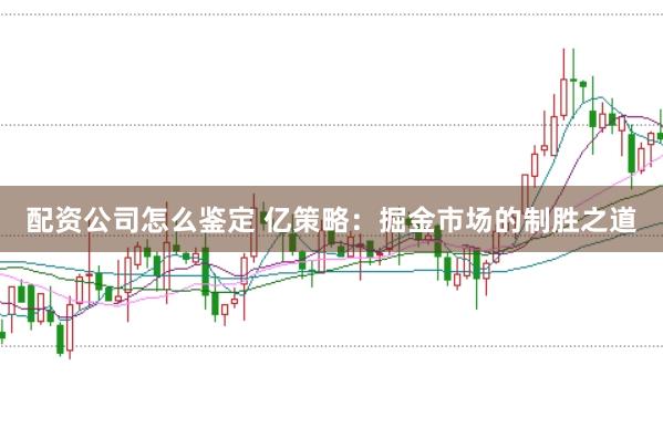 配资公司怎么鉴定 亿策略：掘金市场的制胜之道