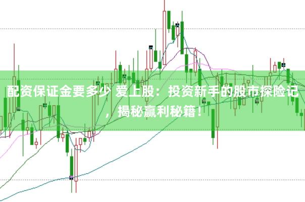 配资保证金要多少 爱上股：投资新手的股市探险记，揭秘赢利秘籍！