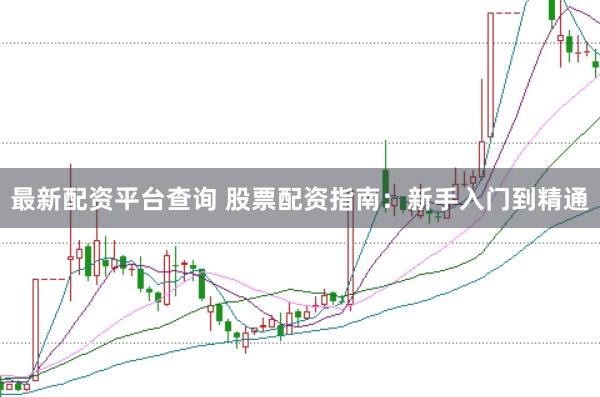 最新配资平台查询 股票配资指南：新手入门到精通
