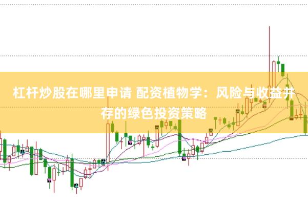 杠杆炒股在哪里申请 配资植物学：风险与收益并存的绿色投资策略