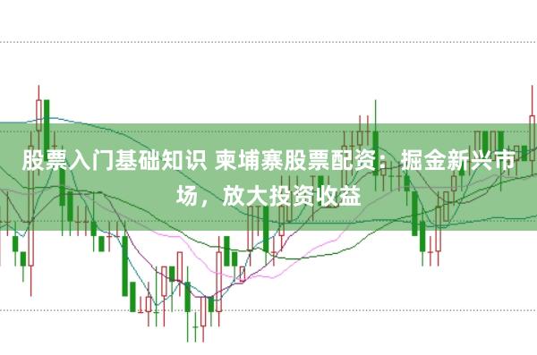 股票入门基础知识 柬埔寨股票配资：掘金新兴市场，放大投资收益