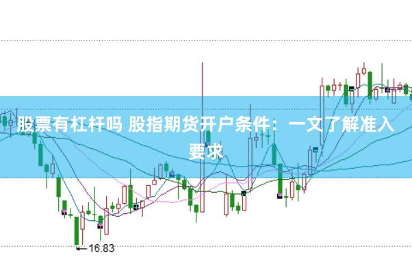 股票有杠杆吗 股指期货开户条件：一文了解准入要求