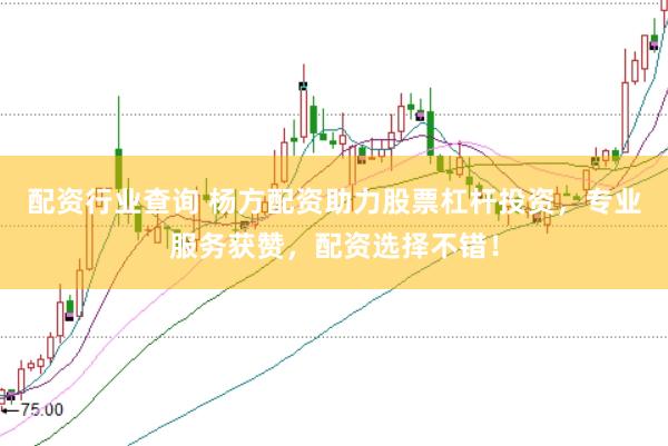 配资行业查询 杨方配资助力股票杠杆投资，专业服务获赞，配资选择不错！