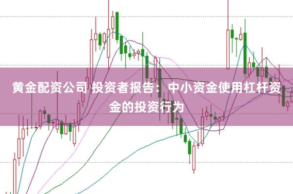 黄金配资公司 投资者报告:中小资金使用杠杆资金的投资行为